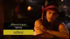 E26 Dalia - Bengali