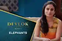 E10 Elephants