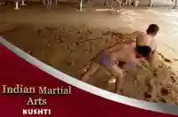E2 Kushti