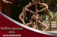 E5 Mallakhamb