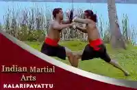 E6 Kalaripayattu