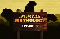 E3 Tiger, Lion, Bear