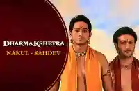 E23 Nakul - Sahadev