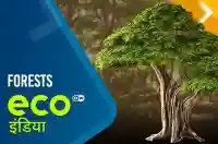 Forests