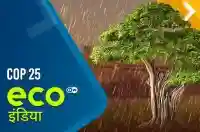 COP 25