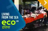 Living from the Sea