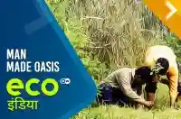 Man made Oasis