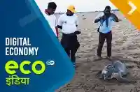 Digital Economy