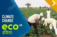 Climate Change