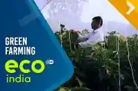 Green Farming