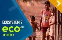 Ecosystem 2