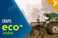Crops