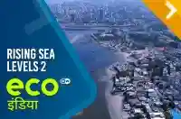 Rising Sea Levels 2