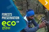 Forests Preservation