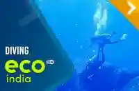 Diving