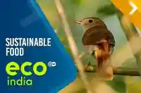 Sustainable Food
