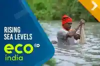 Rising Sea Levels