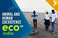 Animal and Human Coexistence