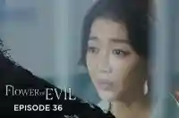 Ep 36 - Flower Of Evil