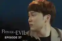Ep 37 - Flower of Evil