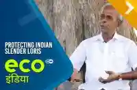 Protecting Indian Slender Loris