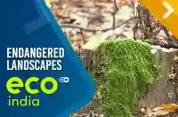 Endangered landscapes