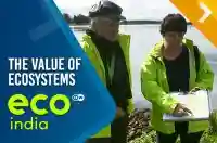 The value of ecosystems