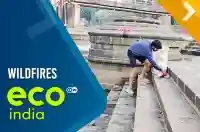 Wildfires - consequences of a warming world