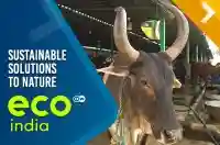 Finding sustainable solutions by looking to nature