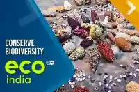 Marginalized communities and their efforts to conserve biodiversity
