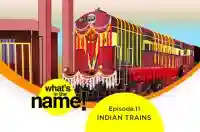 E11 - INDIAN TRAINS