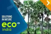 Solutions in nature
