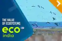 The value of ecosystems