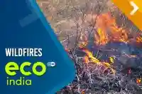 Wildfires