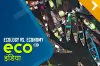 Ecology vs Economy