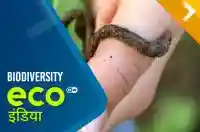 Biodiversity