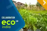 Collaboration