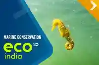 Marine conservation