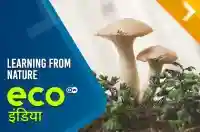 Learning from Nature 