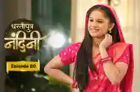 E80 - Dhartiputra Nandini