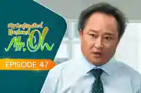 E47 - My Contracted Husband, Mr. Oh!
