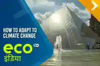 How To Adapt To Climate Change