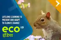 Lifelong Learning To Prevent And Adapt To Climate Change