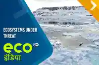 Ecosystems Under Threat