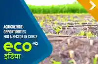 Agriculture: Opportunities For A Sector In Crisis