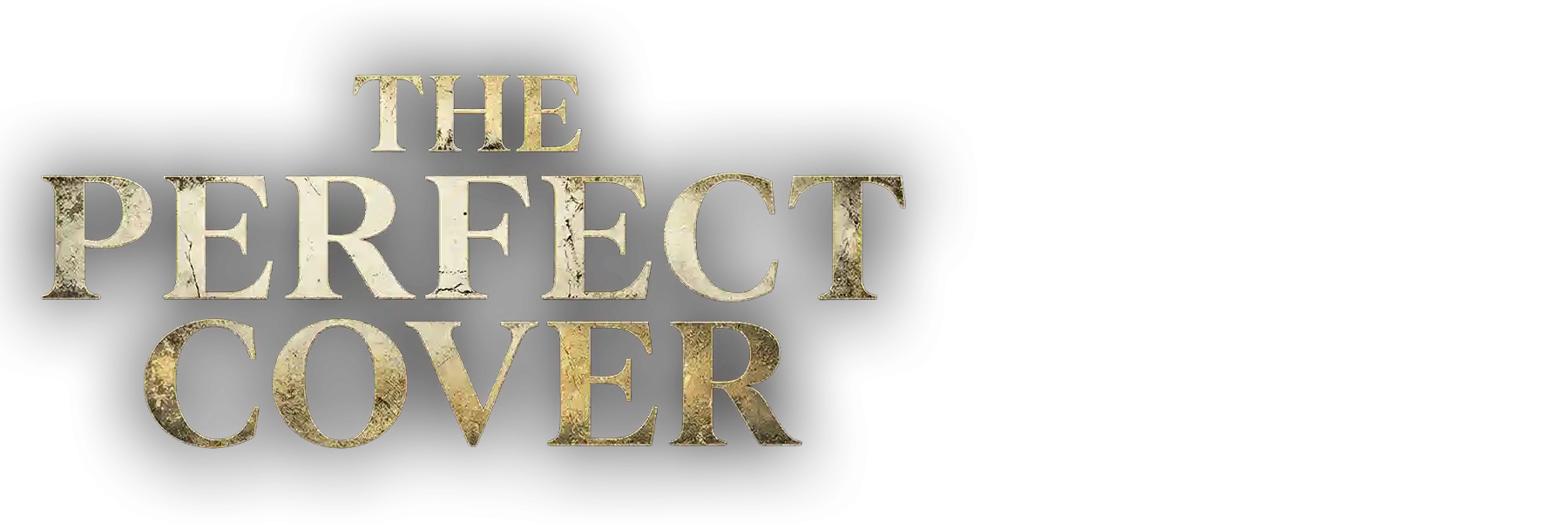 The Perfect Cover