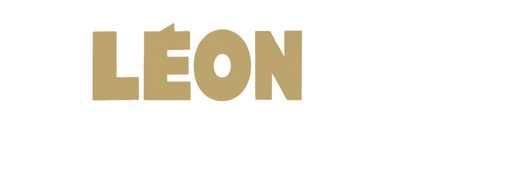 Leon: The Professional